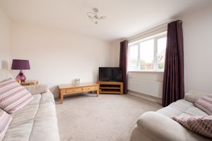 Lounge Area- click for photo gallery